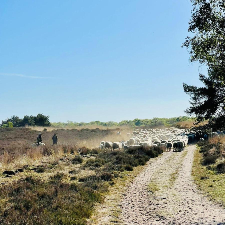 Luxe Vakantiehuis Huismus Veluwe Nunspeet Zewnętrze zdjęcie